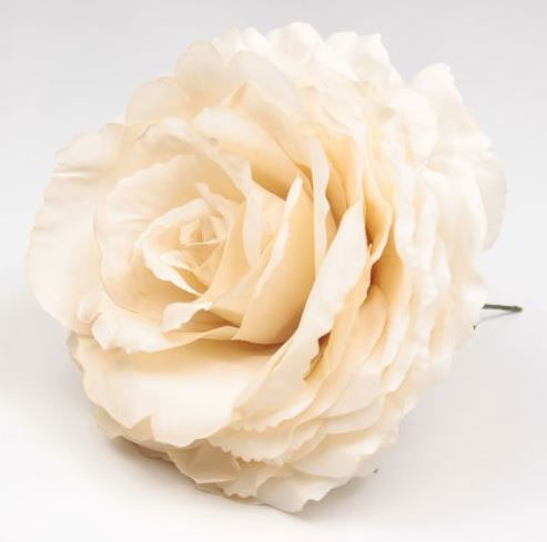King Large Rose. Vanilla Flamenco Flower. 17cm